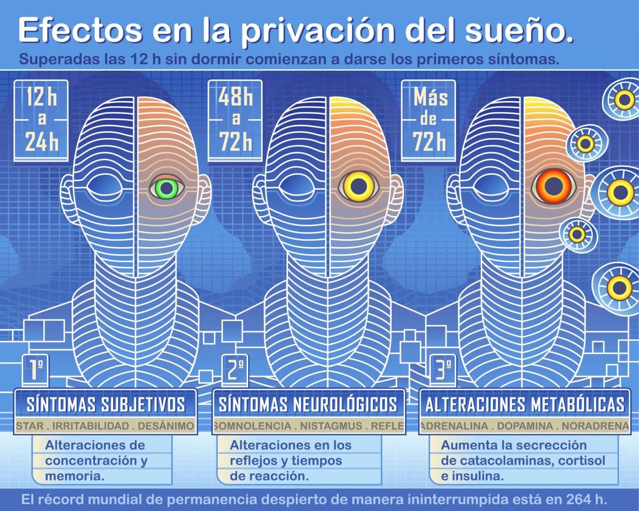 Efectos progresivos de la privación del sueño