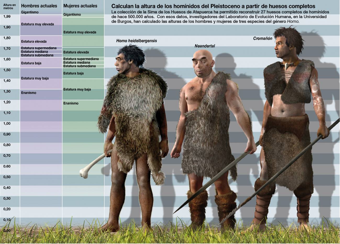 Calculan la altura de varios homínidos de Atapuerca a partir de huesos completos