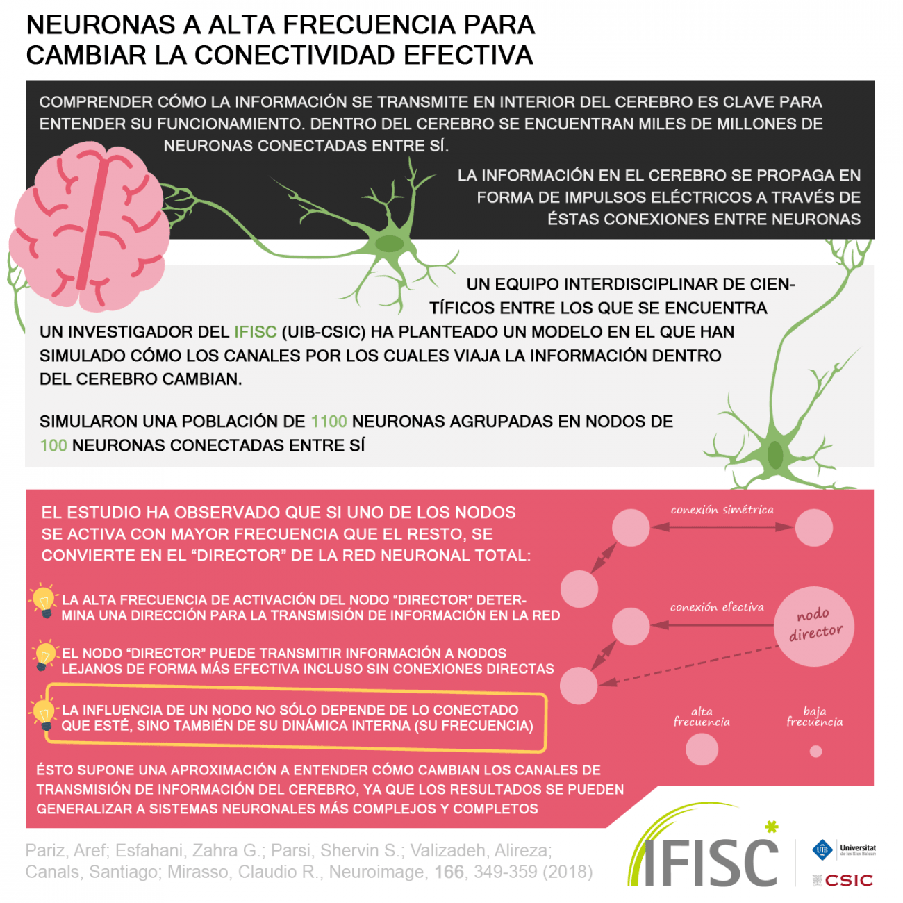 ¿Cómo cambian las vías de información en el cerebro?