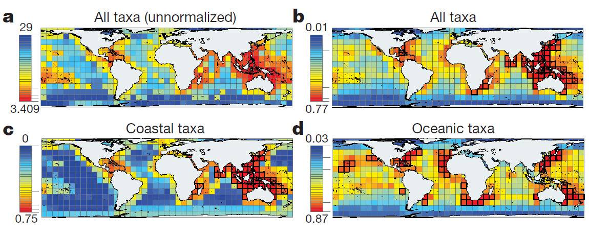 Crean el primer mapa que analiza los patrones de biodiversidad marina