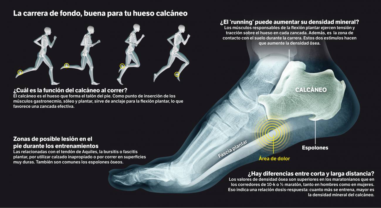 Cuanto más corra, mejor será la salud de sus huesos