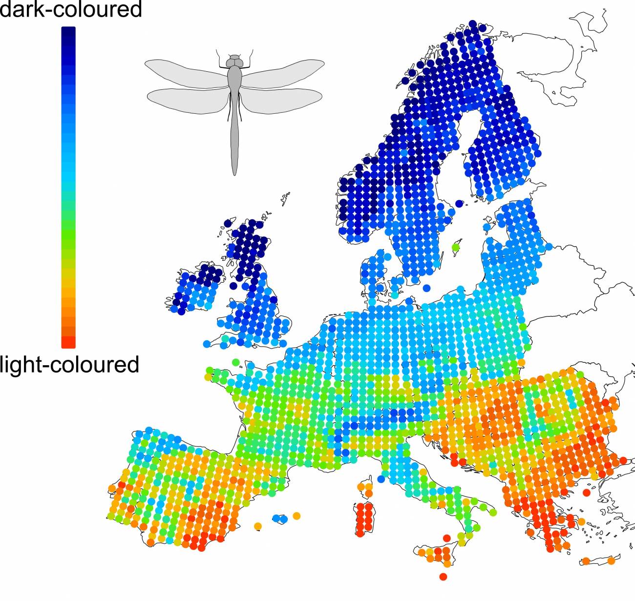 El calentamiento global favorece a los insectos de colores claros