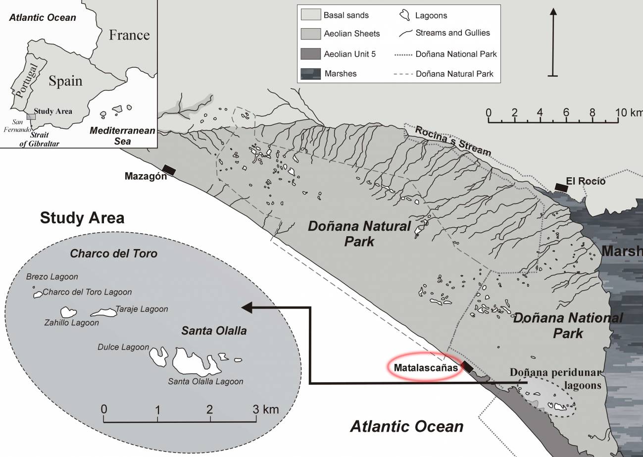 Las lagunas peridunares de Doñana cerca de Matalascañas. 