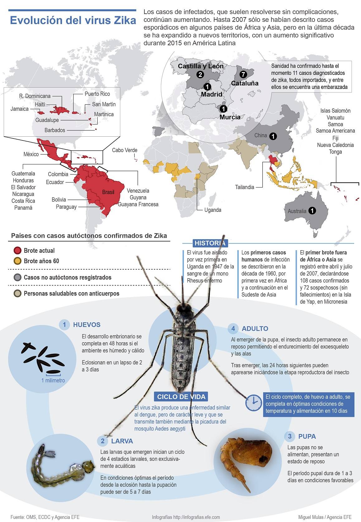 Infografía que muestra la expansión del virus zika. / Efe