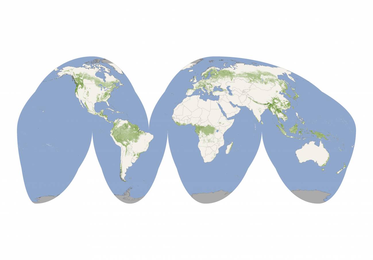 La NASA presenta un mapa global con las alturas de los árboles