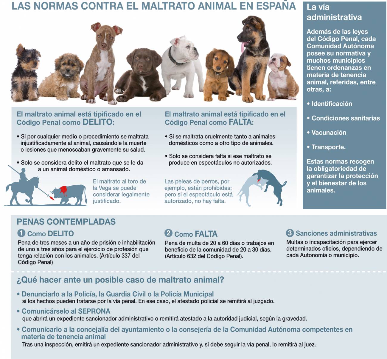 Las leyes que protegen a los animales en España 