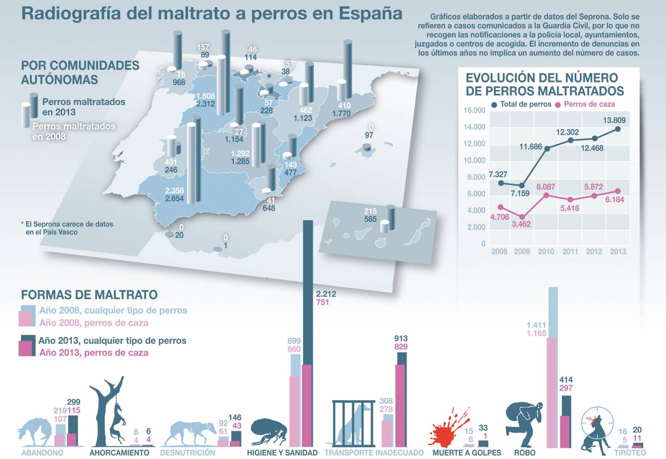 Los datos del maltrato a perros, en gráficos 