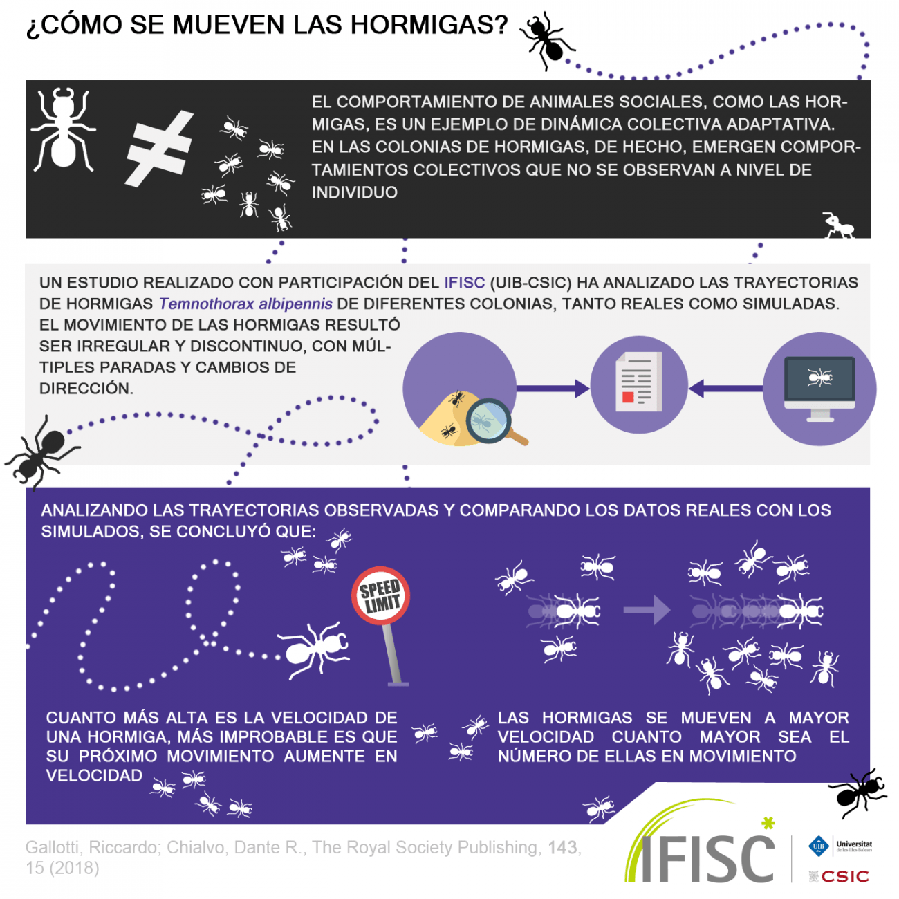 Un modelo matemático inspirado en el movimiento de las hormigas