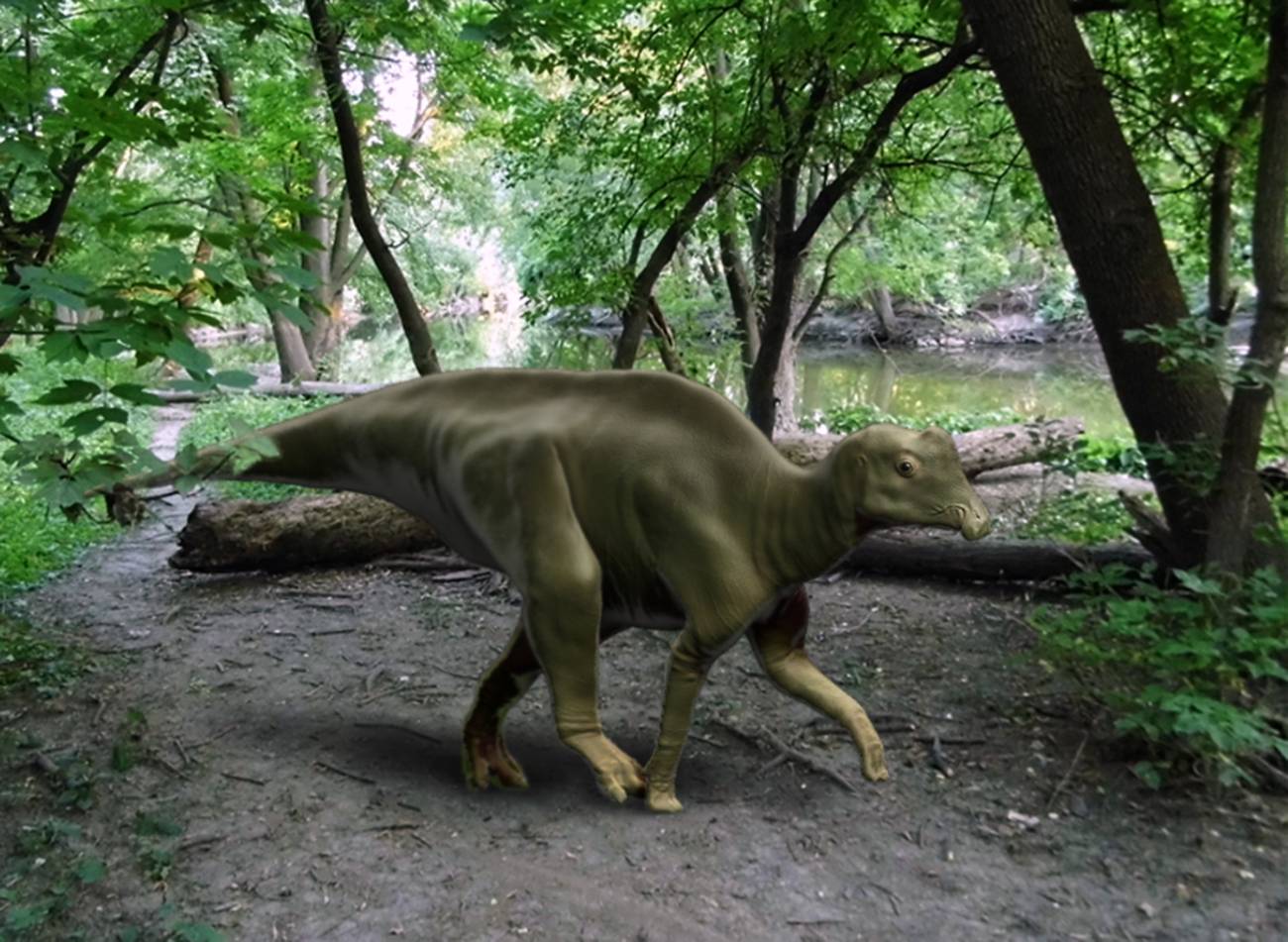 Recreación del dinosaurio Parasaurolophus