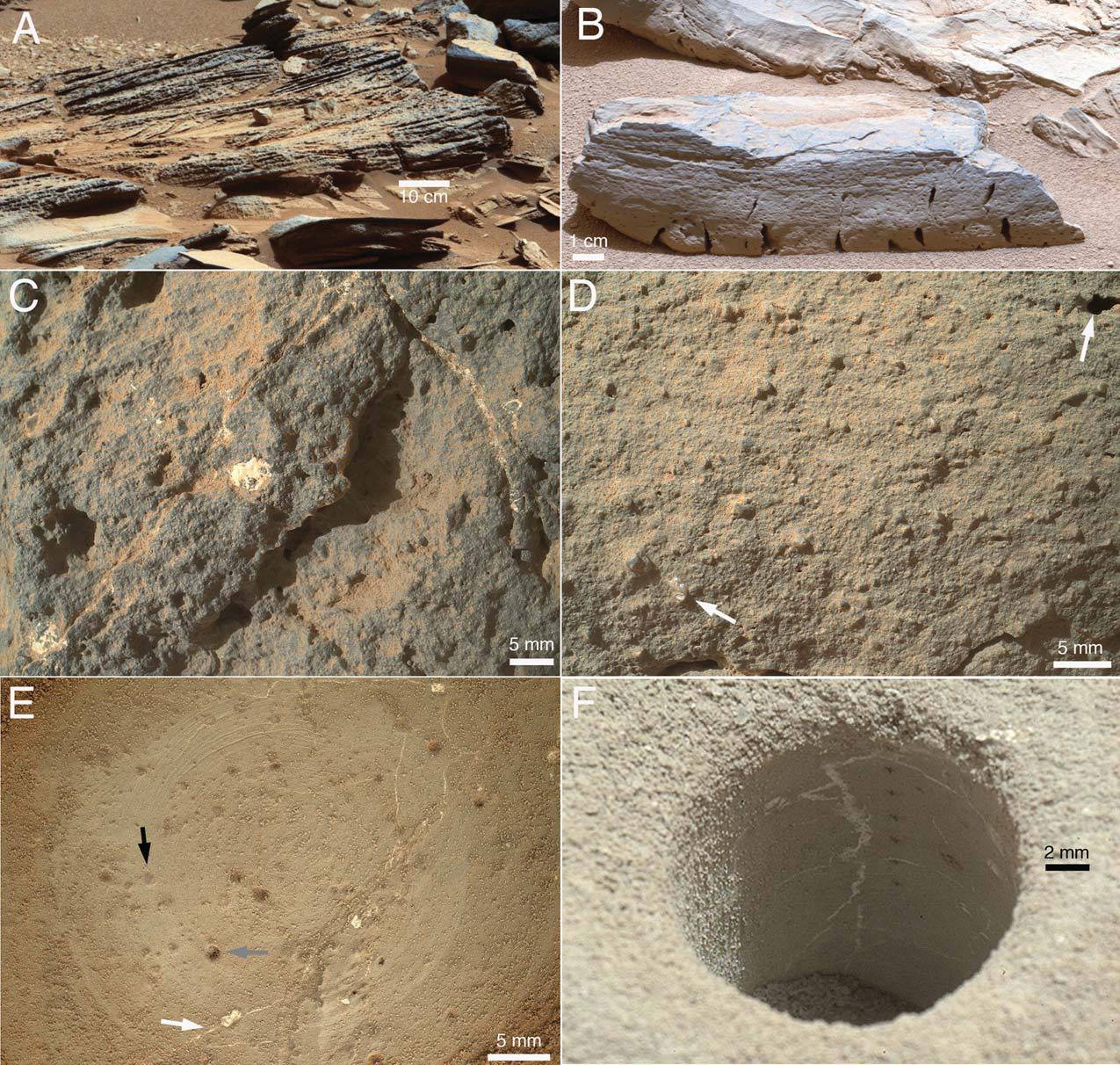 Rocas sedimentarias