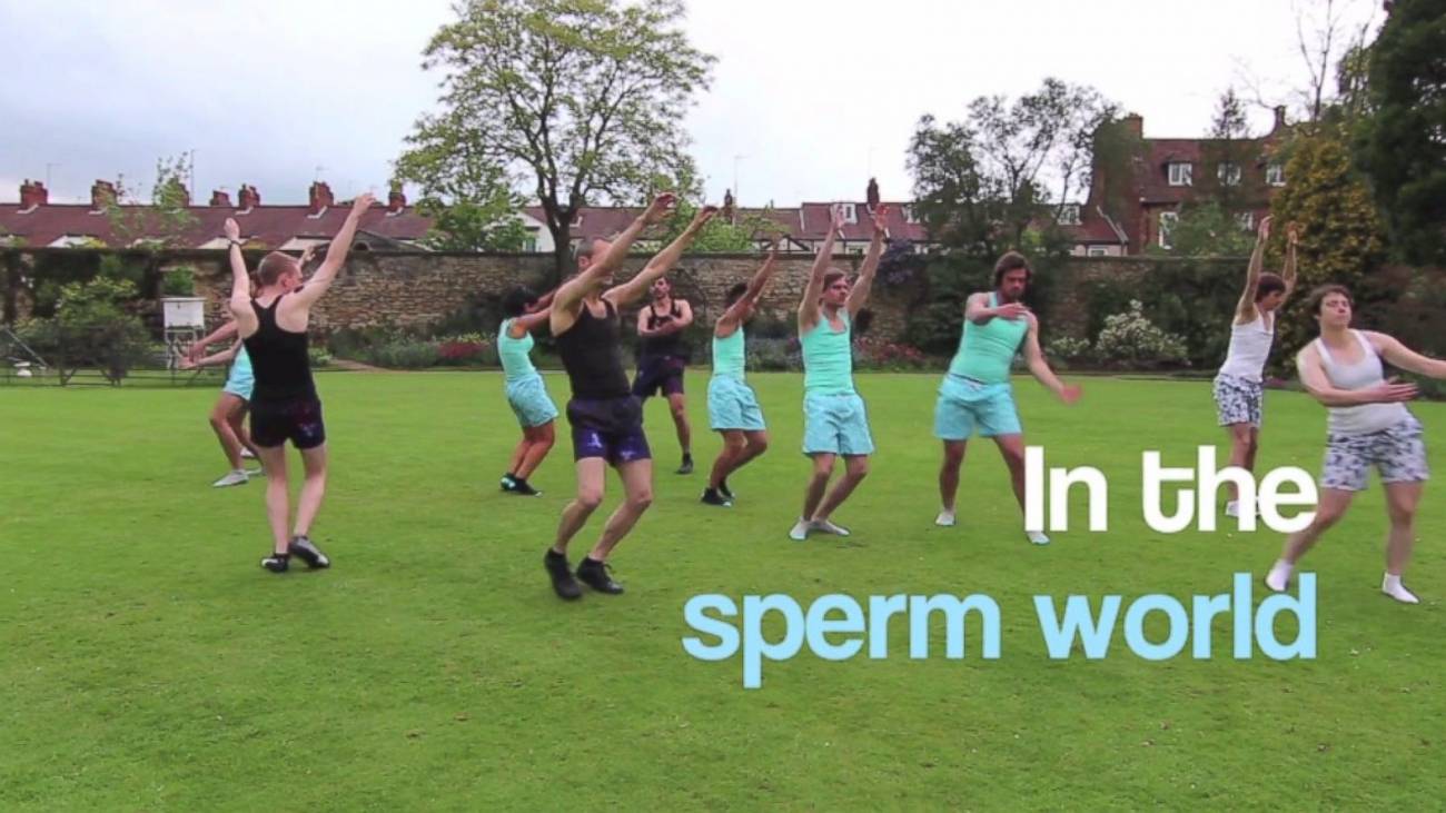 ¡A bailar la tesis!