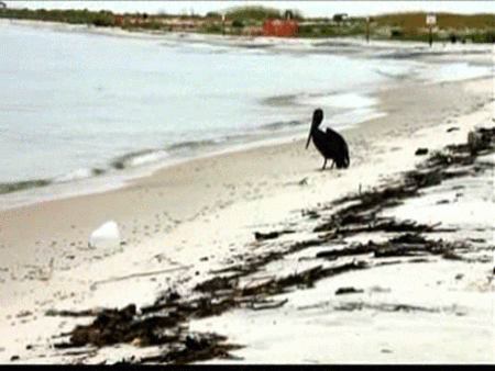 Álex acerca el derrame de crudo a las playas