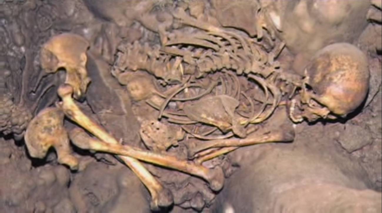 Así éramos los europeos hace 7.000 años