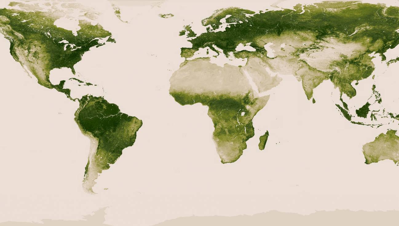 Así está distribuida la vegetación en la Tierra