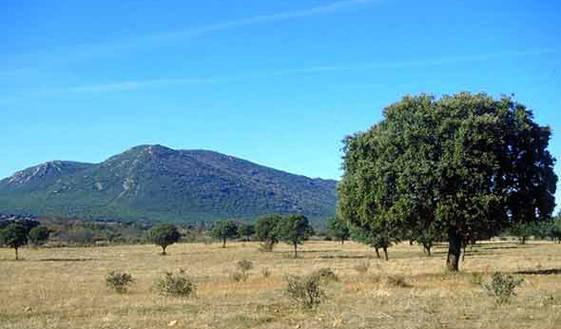 Cabañeros mantiene su encanto pese a los incendios 