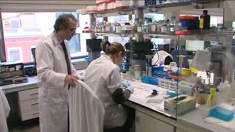 Investigadores HC