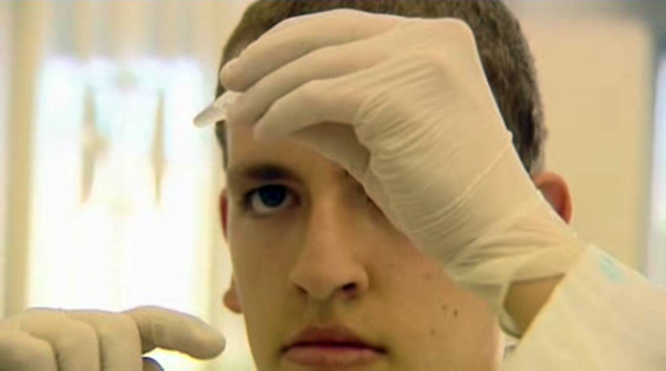 Logran recuperar la memoria de ratones con alzheimer