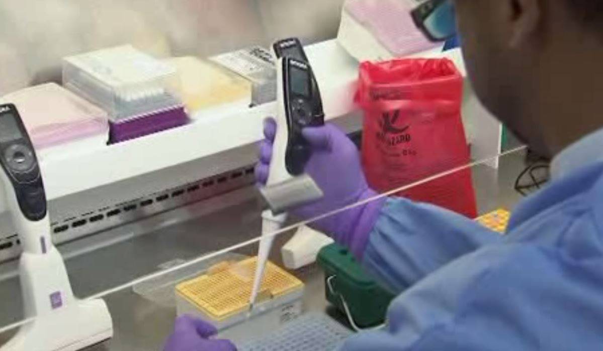 vacuna contra el zika 