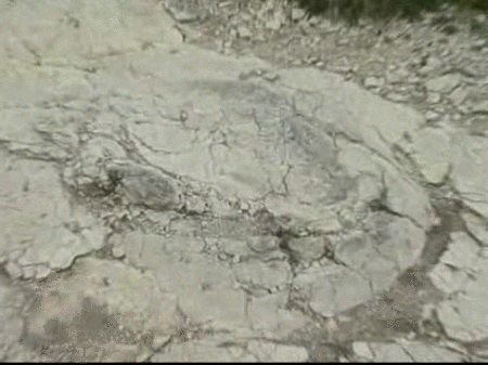 Descubren en Lyon (Francia) las mayores huellas de dinosaurio