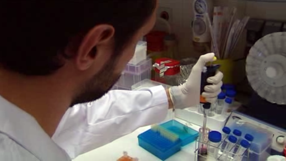 resistencias en cáncer colorrectal