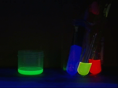 Disfrutando de la 'Ciencia en Acción'