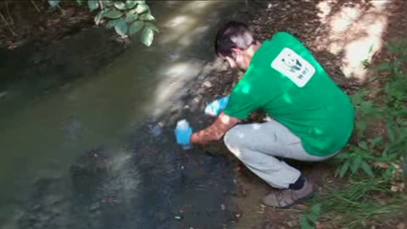 Doñana recibe las aguas residuales sin depurar de tres municipios
