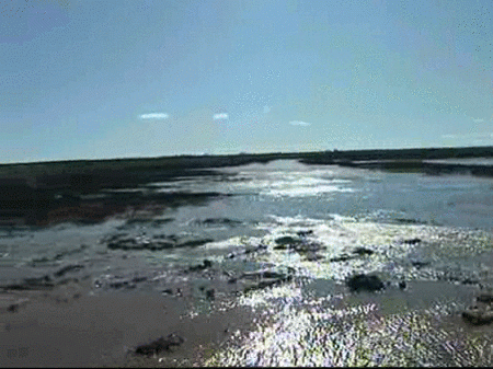 El agua anega las Tablas de Daimiel