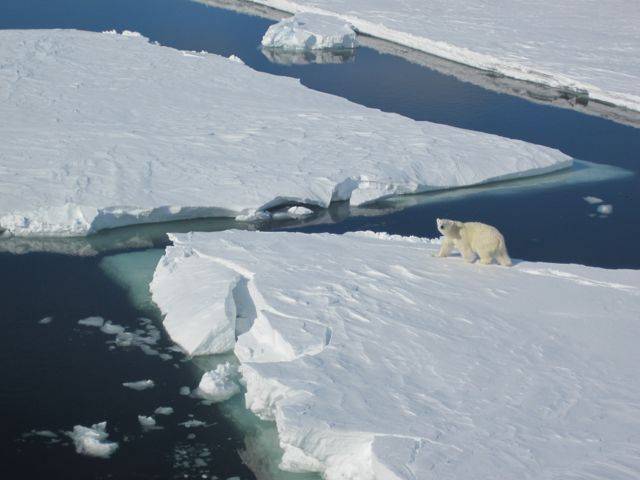 El cambio climático no afectará de igual manera al Ártico y la Antártida