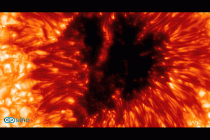  Núcleos oscuros de las manchas solares
