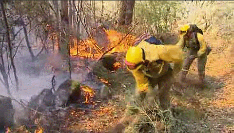 Incendio en el parque natural de Fraguas do Eume.