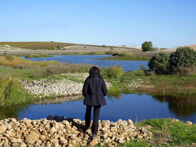  Aparicecen 'nuevos ojos' en el Guadiana 