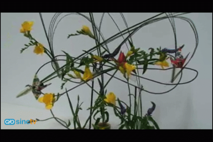 El Jardín Botánico dedica una exposición a la naturaleza como objeto de arte