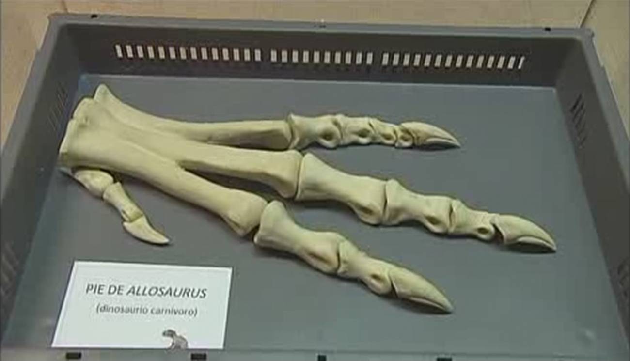 Pieza del yacimiento de Las Hoyas