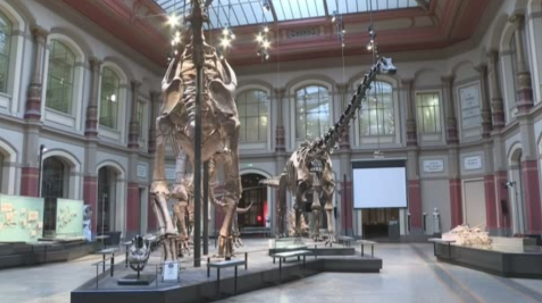El Museo de Historia Natural de Berlín