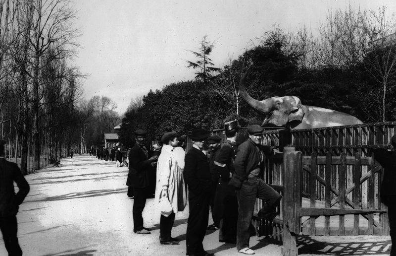El Zoo de Barcelona cumple 120 años 