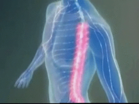 Enfermos de esclerosis múltiple reclaman más apoyo y más investigación