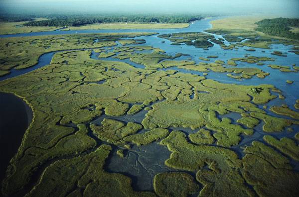 ¿Es posible restaurar los Everglades?