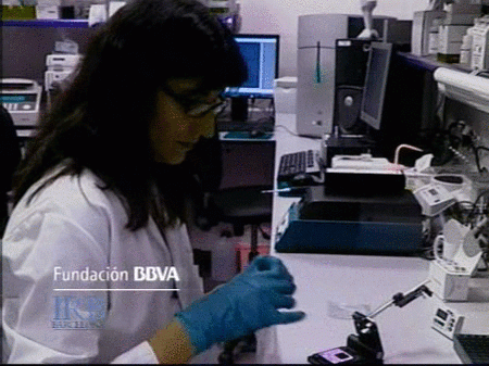intentan descubrir cómo actúan las piezas que interpretan el genoma