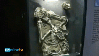 Museo de Historia Natural de Lima
