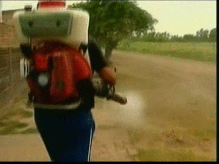 Fumigan para acabar con la epidemia de dengue