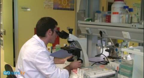 Hallan el inhibidor de una proteína que reduce el crecimiento tumoral