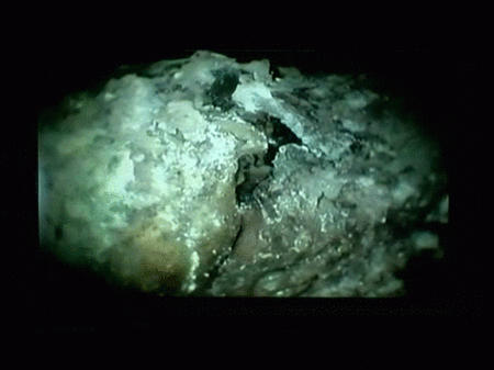 Hallada la momia del monarca de Aragón Pedro II 'El Grande'
