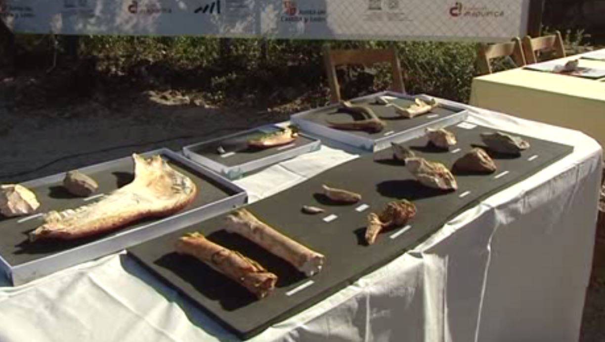 restos en Atapuerca