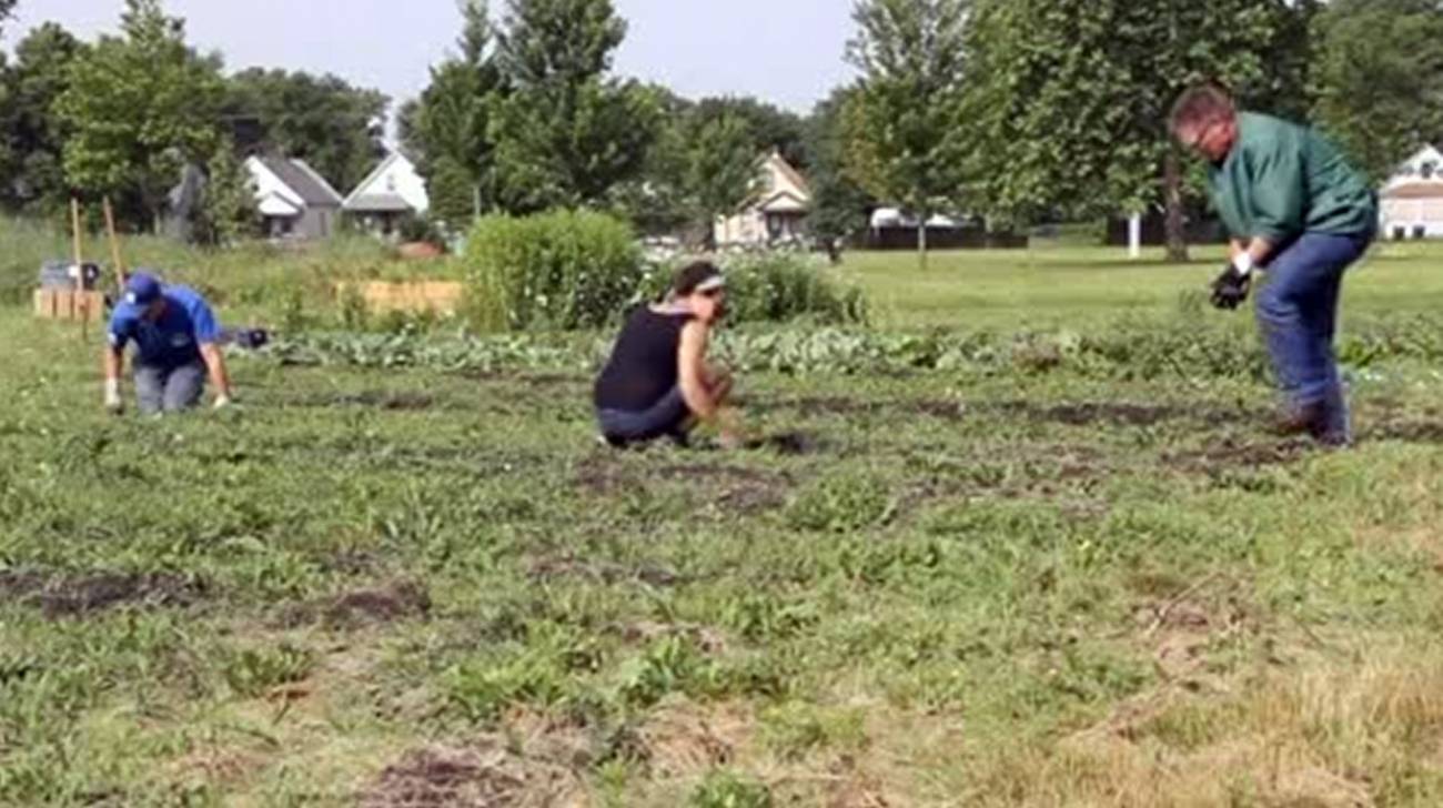 La agricultura urbana, una esperanza de recuperación para Detroit