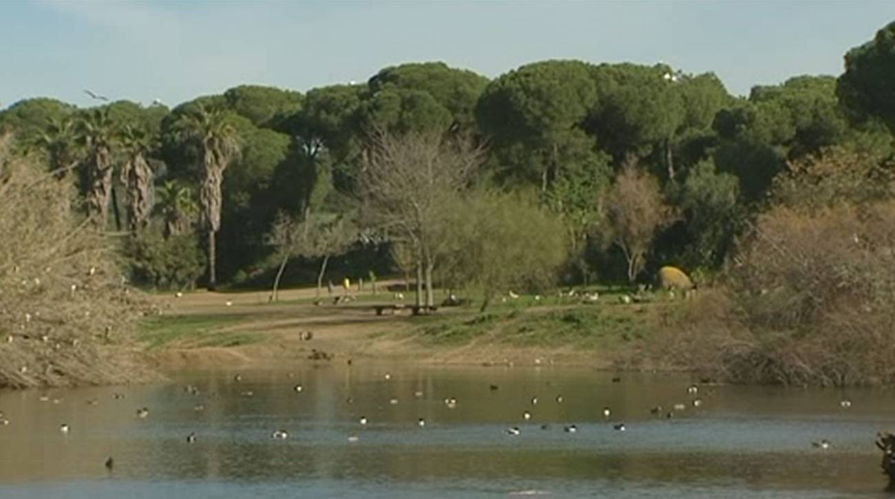 La Cañada de los Pájaros, en grave peligro