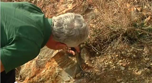 La cordillera Bética esconde los primeros diamantes datados en España 