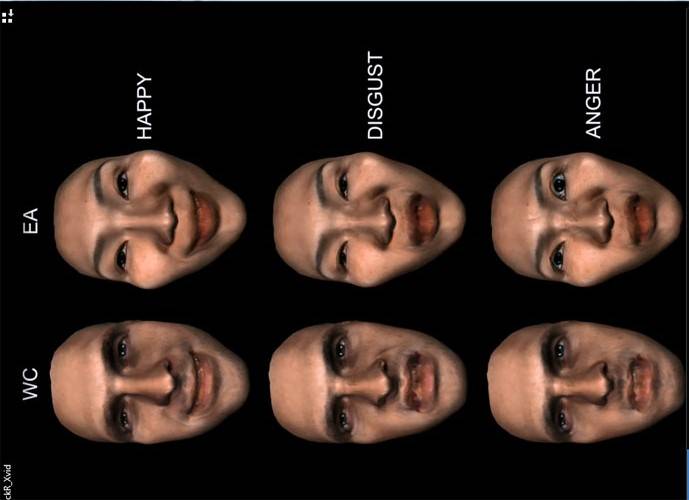 La expresión facial de las emociones podría dejar de ser universal 