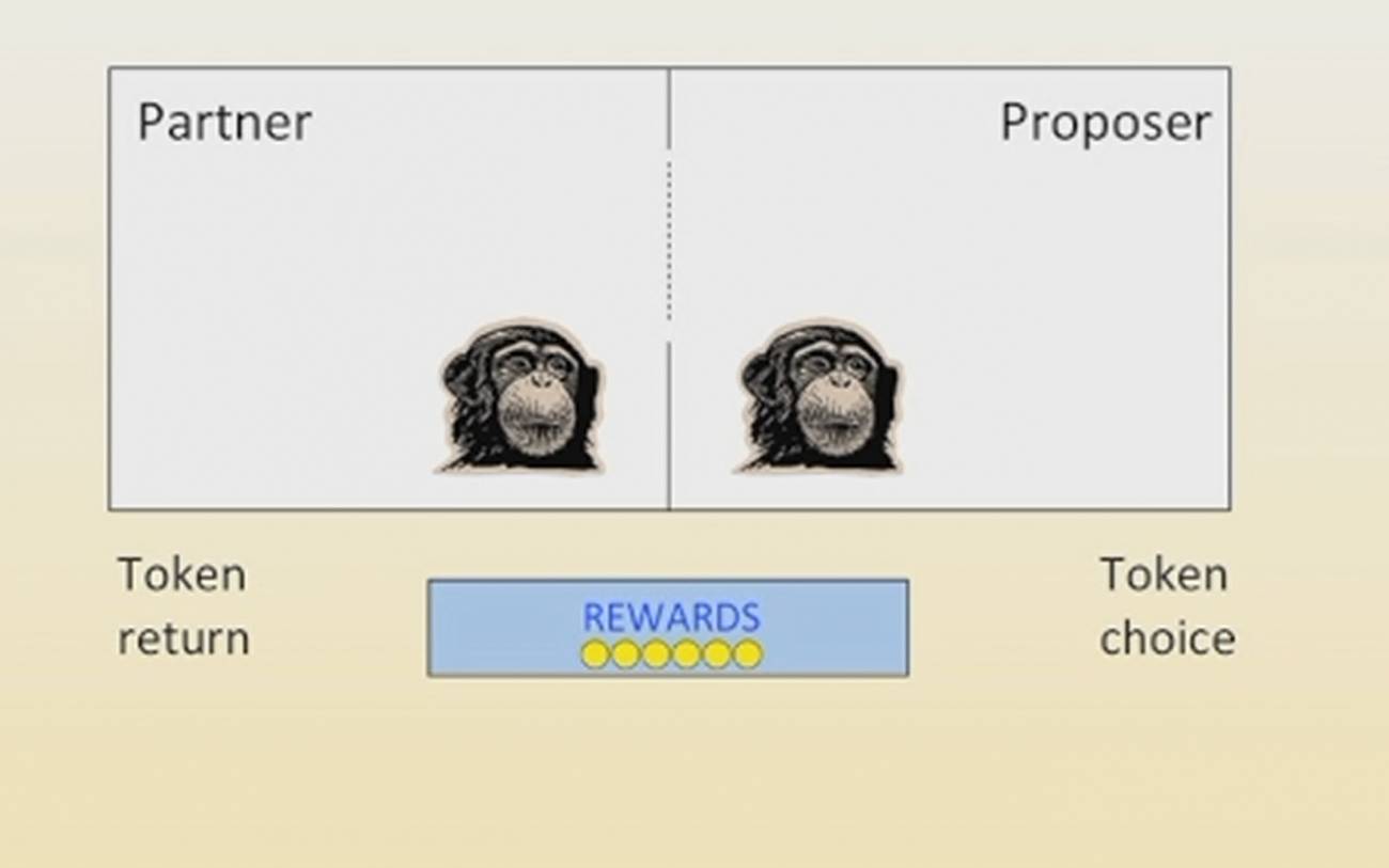 La justicia de los chimpancés