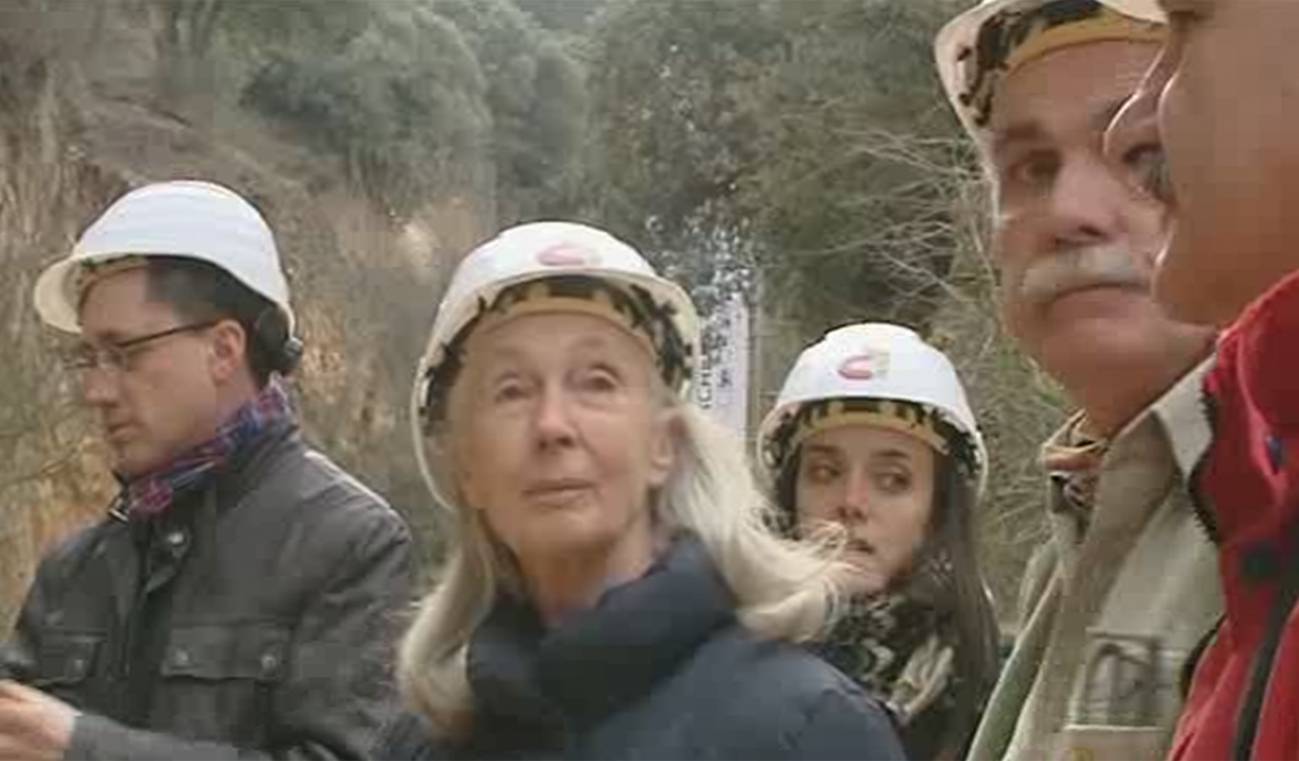 La primatóloga Jane Goodall, impresionada por Atapuerca
