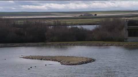 La Reserva de Villafáfila, tierra de ánsares y avutardas, cumple 30 años